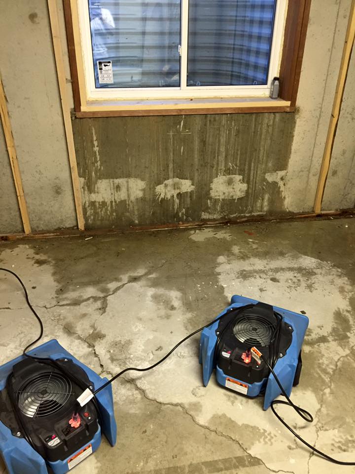 water and mold restoration